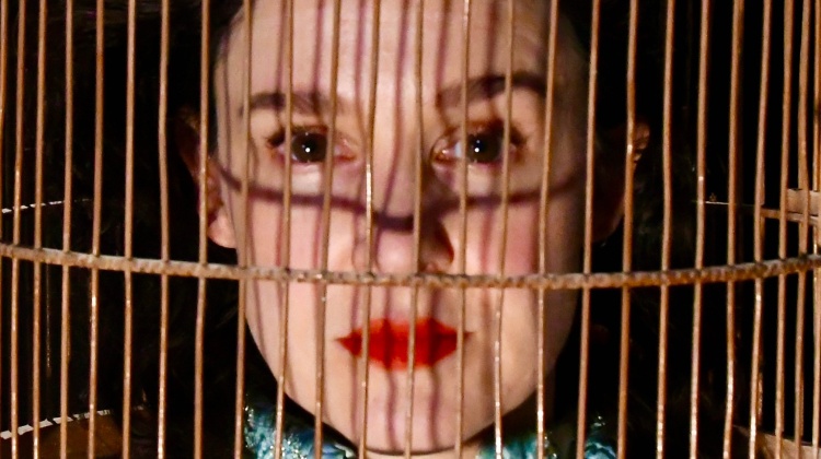 webbannerpaginasec.jpg